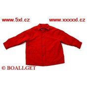 Pánská bunda zimní barva cihlová   ODE-P30000