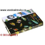 ŠKOLNÍ DESKY A5 BOX s gumičkou   S-DE-140038-02